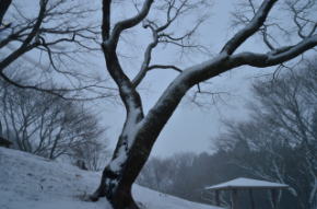 奈良県御杖村　丸山公園　雪